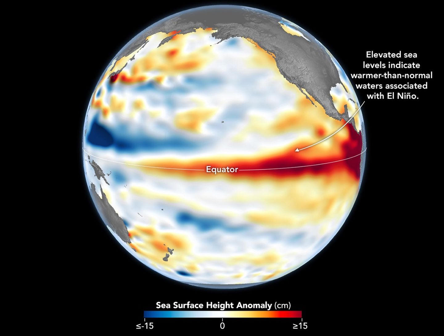 A globe colored by sea-surface height, with a red band of warmer water along the Pacific equator.